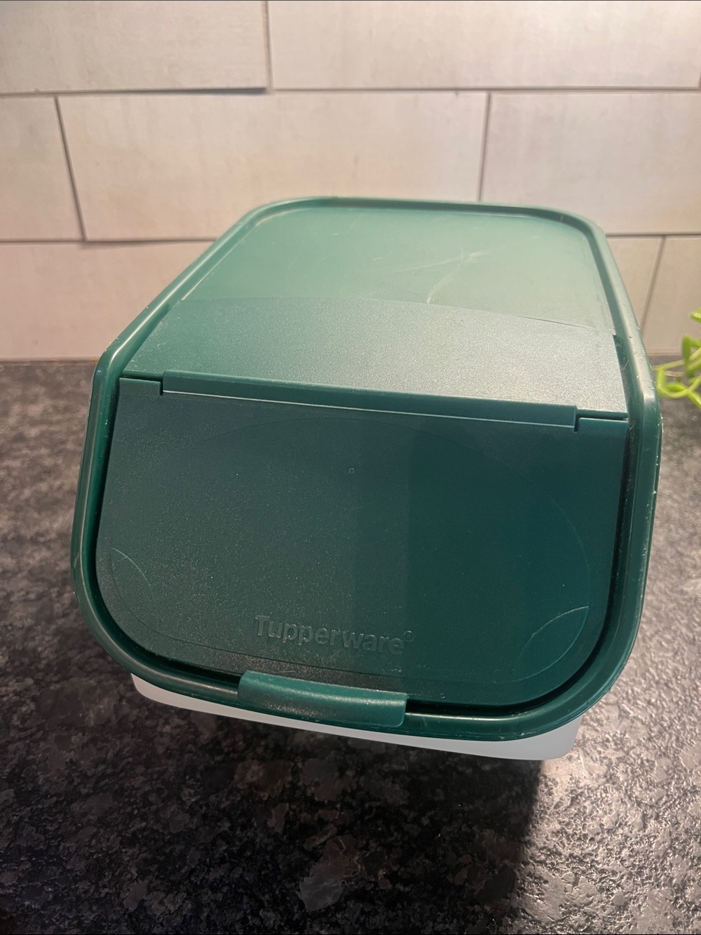 Tupperware Modular Mate flip lid green and White Storage container
